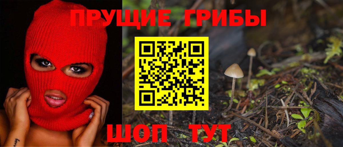 Псилоцибиновые грибы GOLDEN TEACHER  Вход с VPN  Дубна 